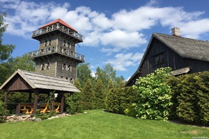 widok
